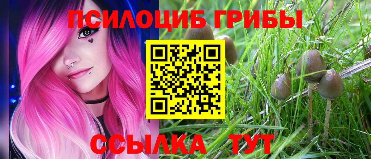 Псилоцибиновые грибы Magic Shrooms Десногорск