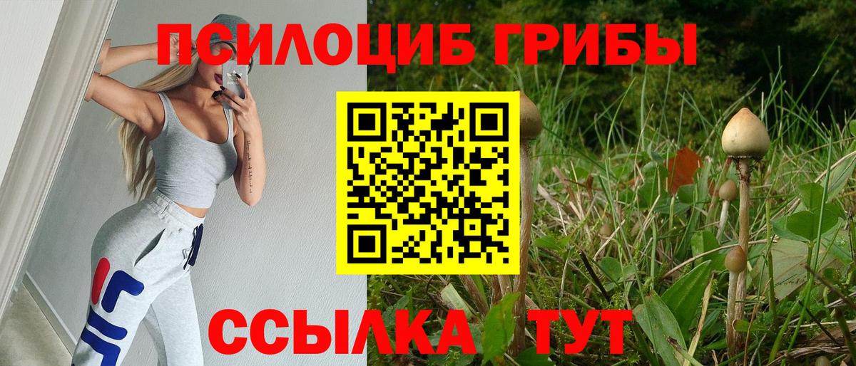 Псилоцибиновые грибы Psilocybine cubensis  Вход с VPN  Десногорск  сколько стоит  Псилоцибиновые грибы Magic Shrooms 